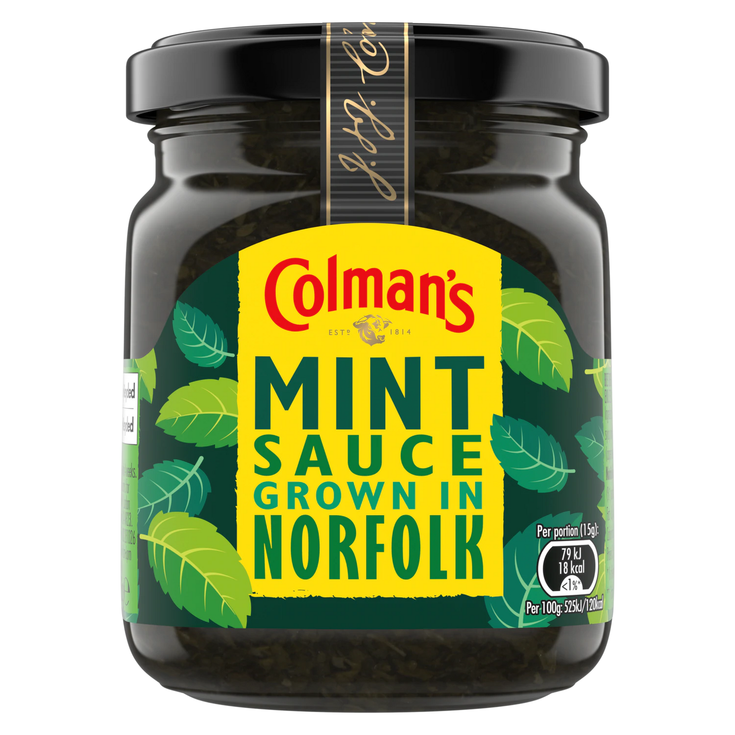 SALSA DE MENTA COLMAN (165g) 